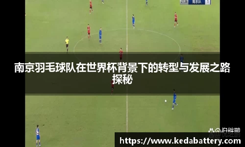 南京羽毛球队在世界杯背景下的转型与发展之路探秘